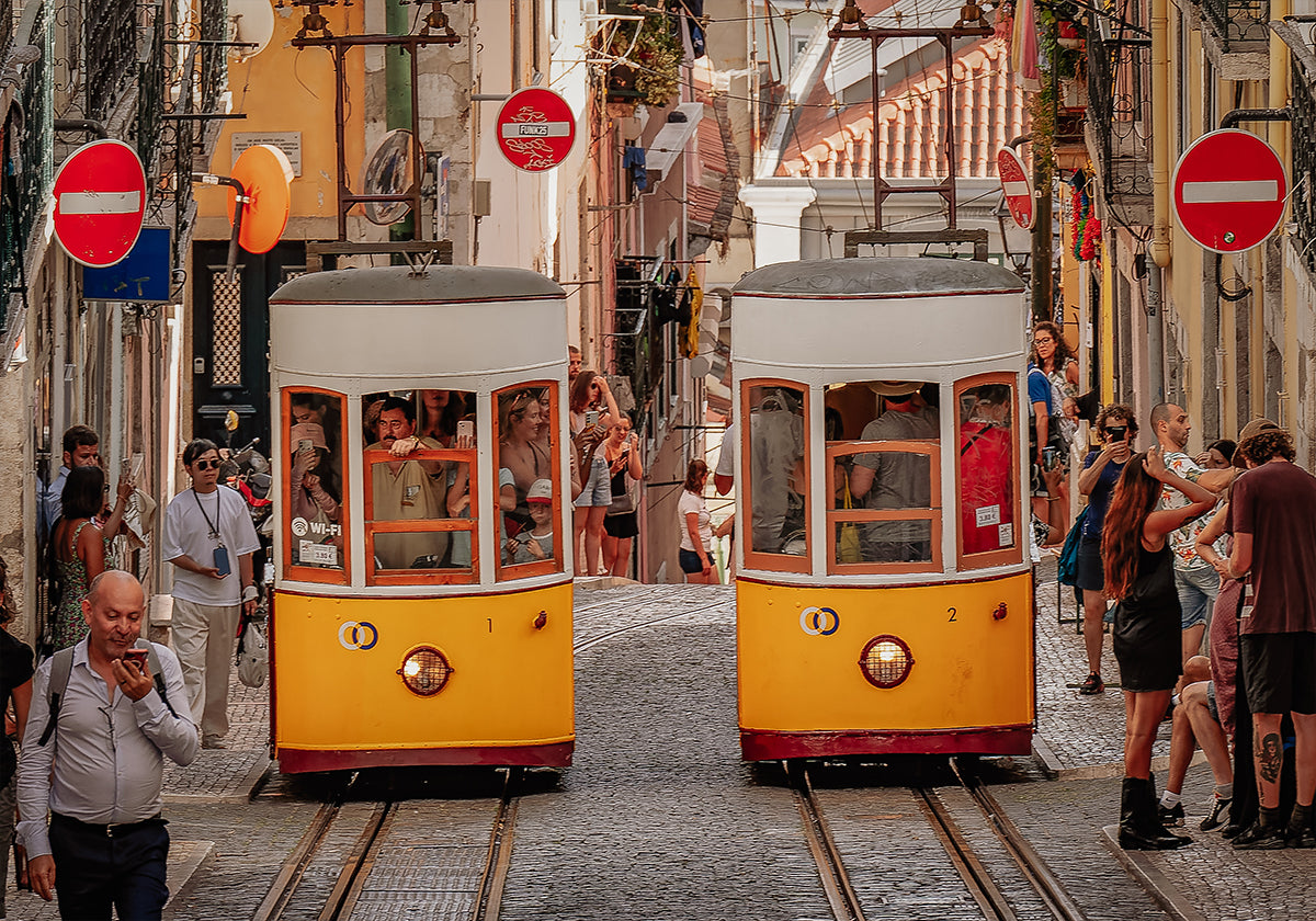 Trams Poster