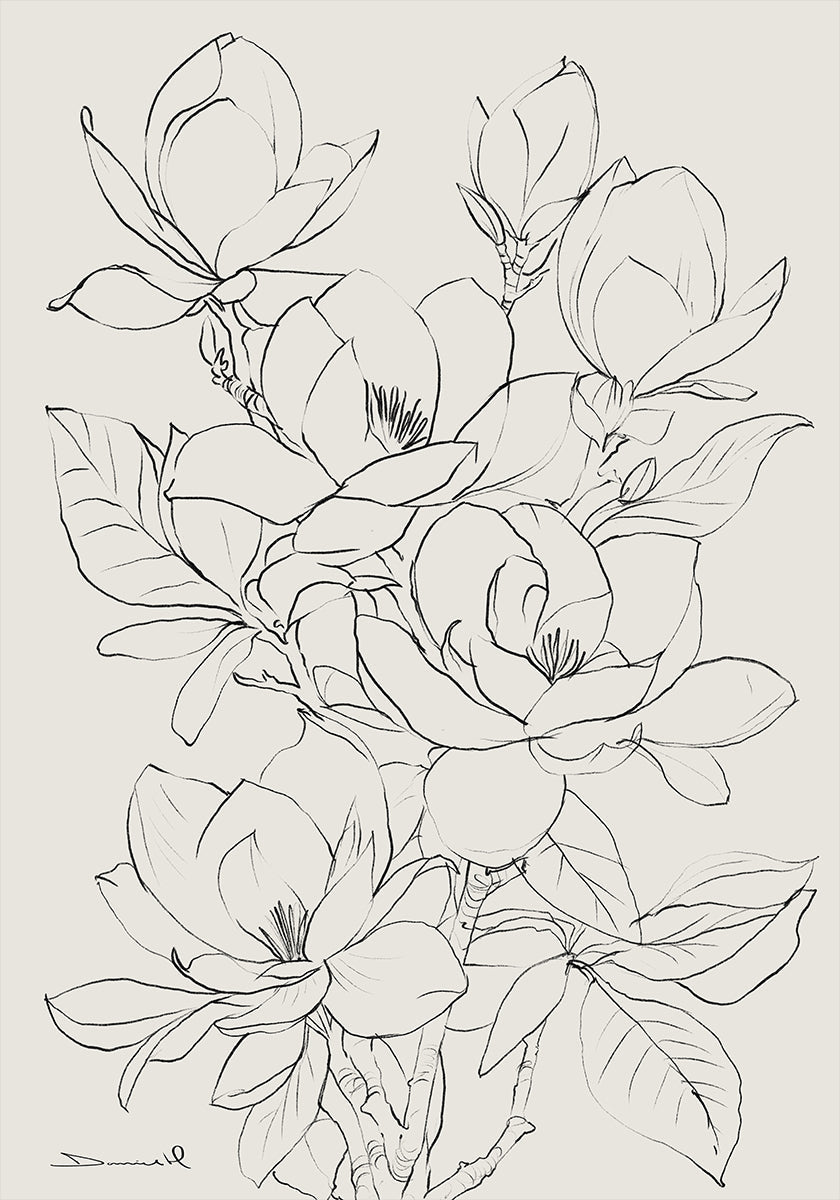 Magnolia Tree