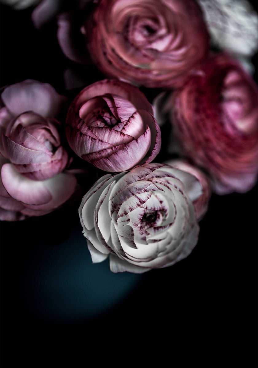 Dark Flowers 2