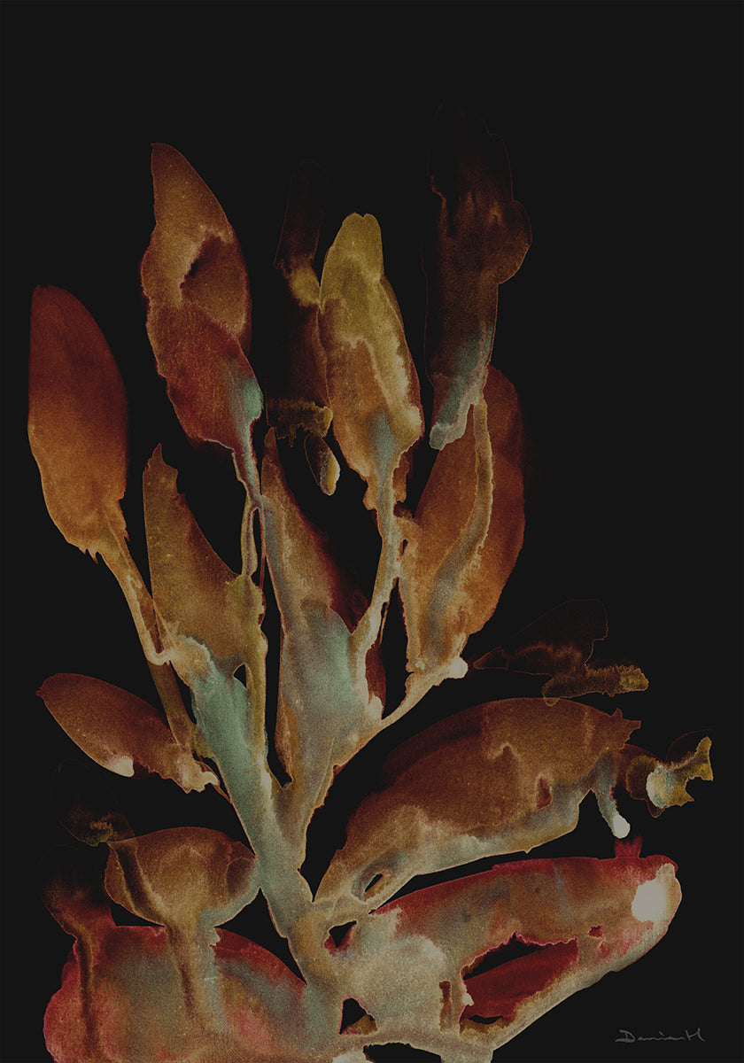 Night Plant Poster
