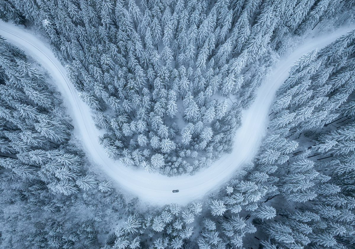 Snowy drive Poster