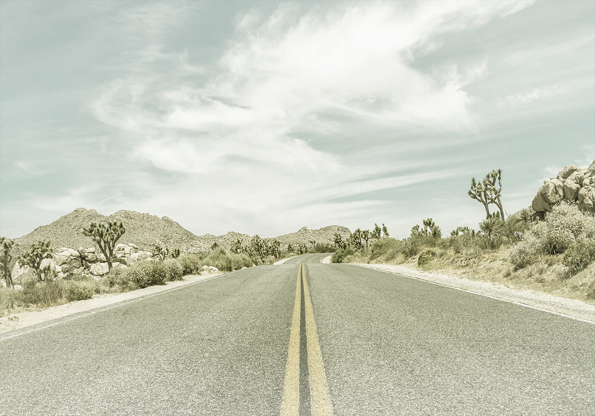 Vintage Joshua Trees, Park Boulevard Poster