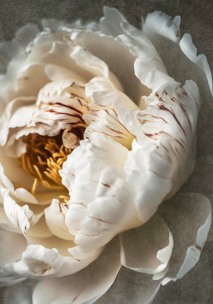 Petals of Serenity