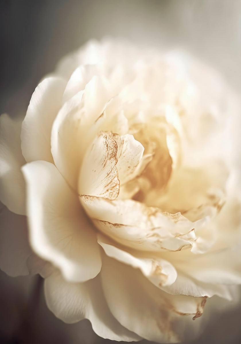 Ethereal Bloom