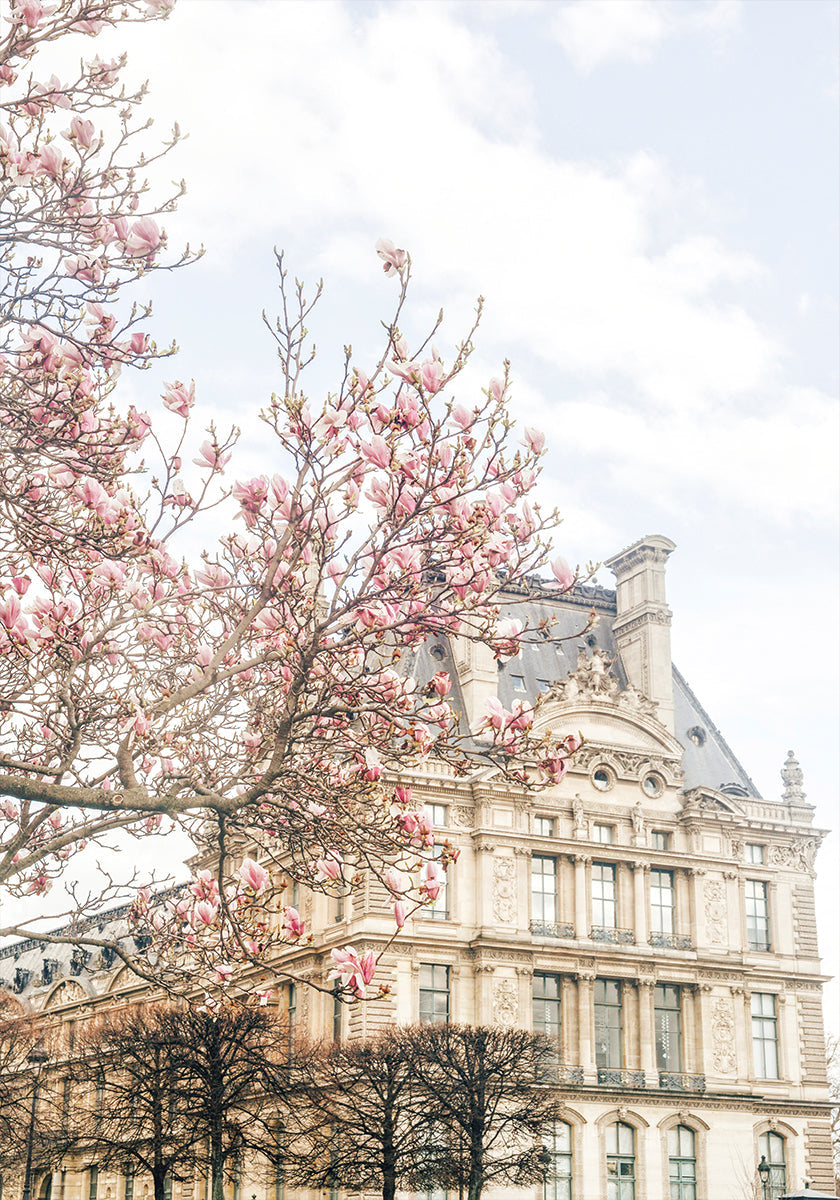 Parisspring Ratio2x3 Poster
