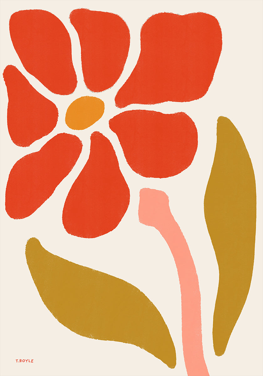 Daisy Flower