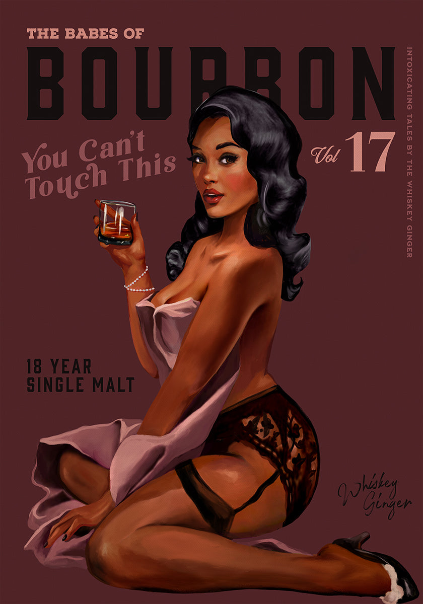 Babes of Bourbon Cant Touch This. Sexy Retro Pin Up Girl Whiskey Art Poster