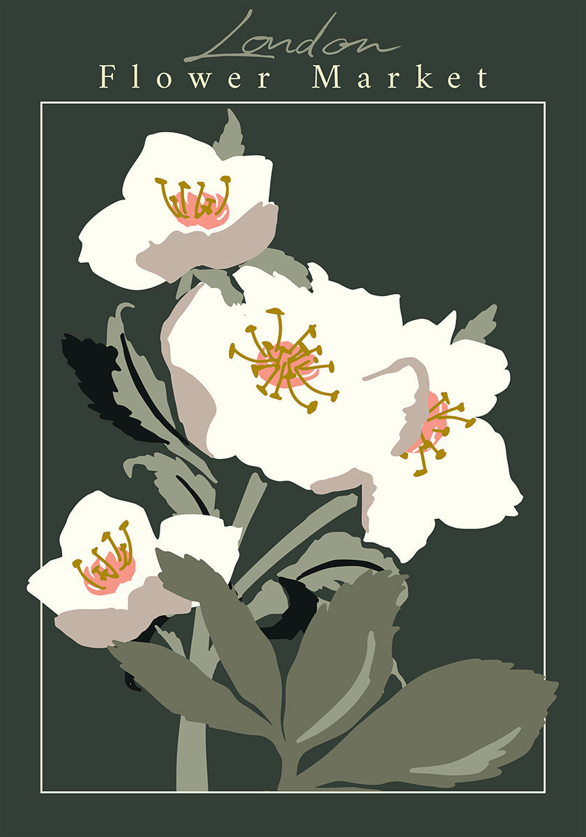 Flower Market London Hellebore Poster