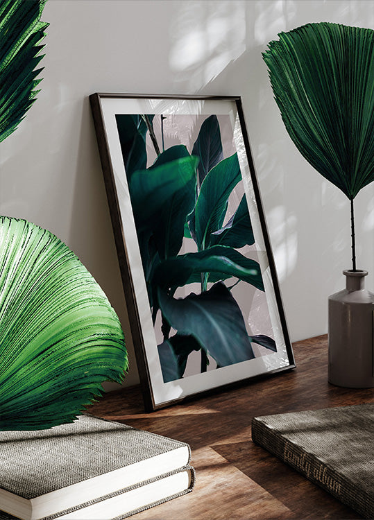 Elegance Of Tropical Leaves Poster