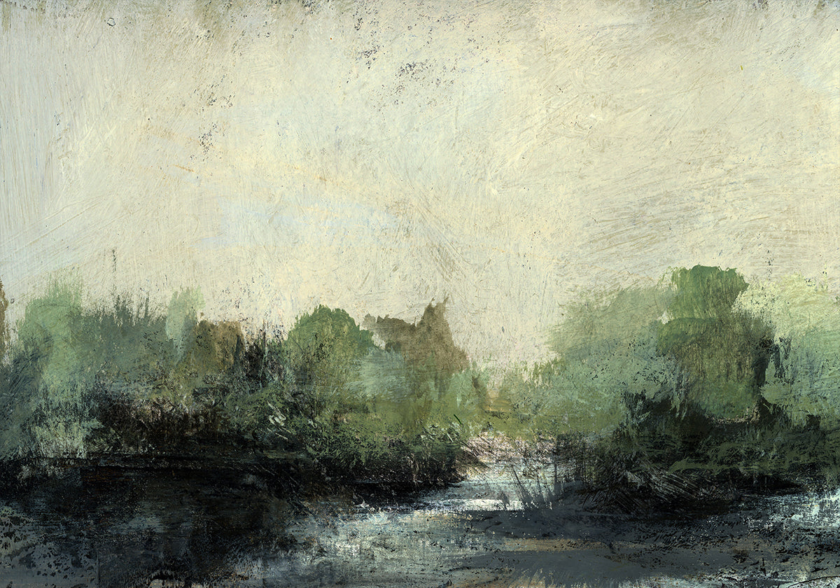 Forest Stream