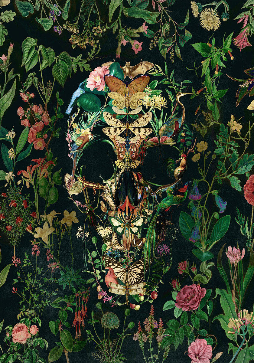 Papillon Skull Poster