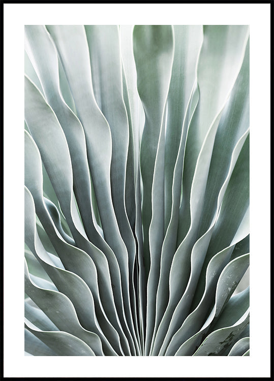 Nature's Grace Poster