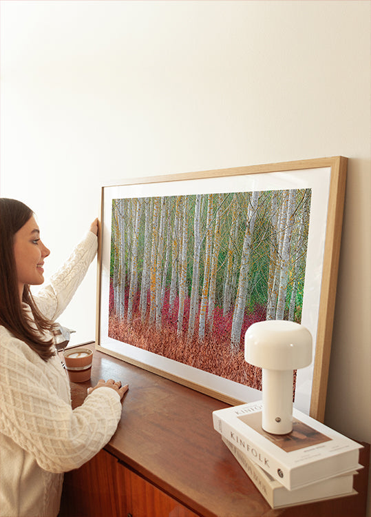 Birch forest Poster