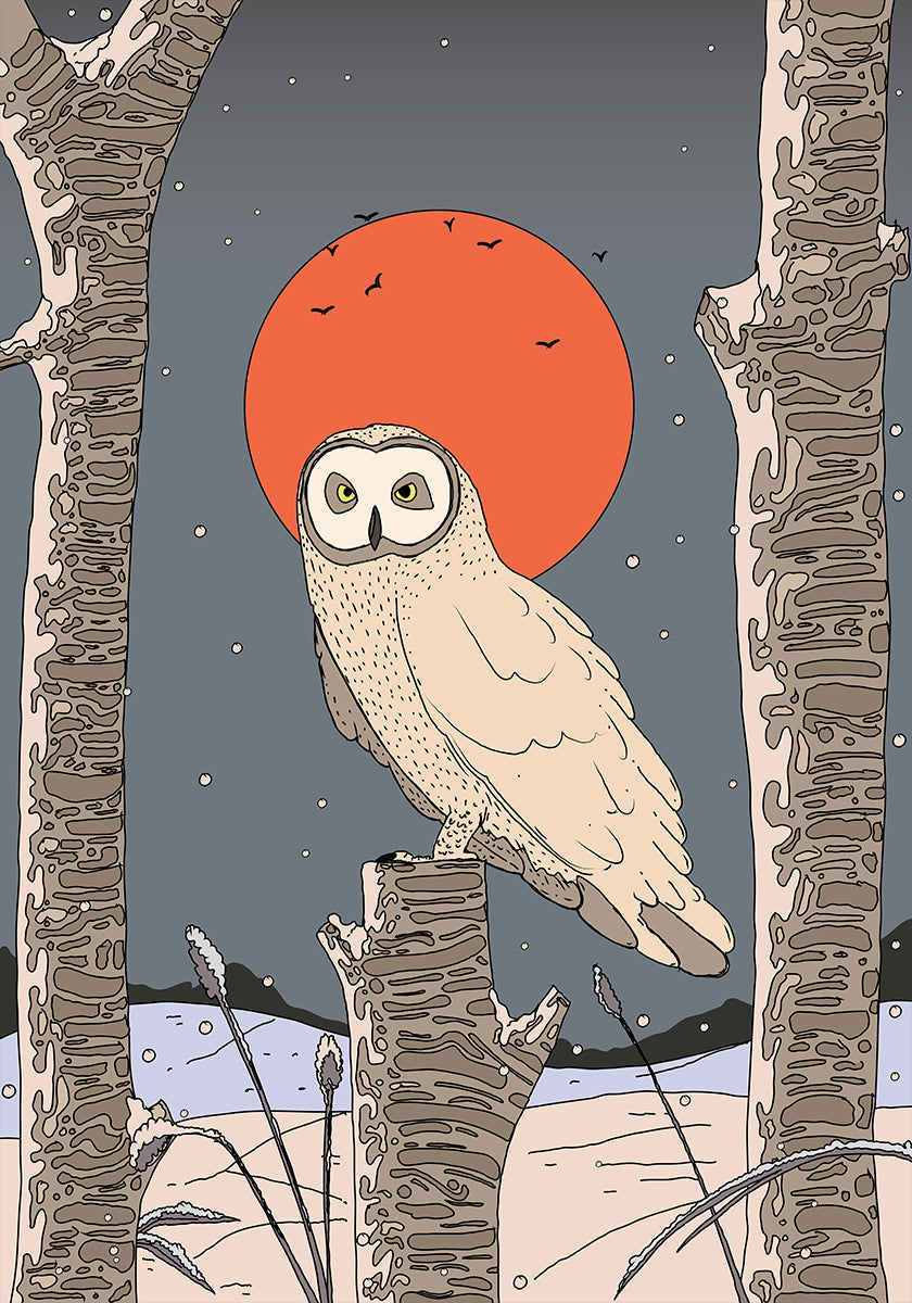 Vintage Owl Poster