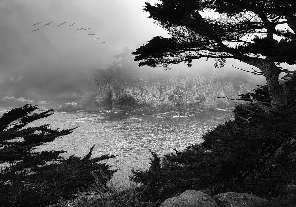 Foggy Morning Central Coast Poster