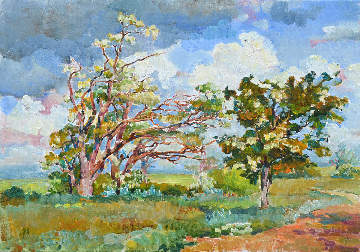 Acacia is blooming Poster