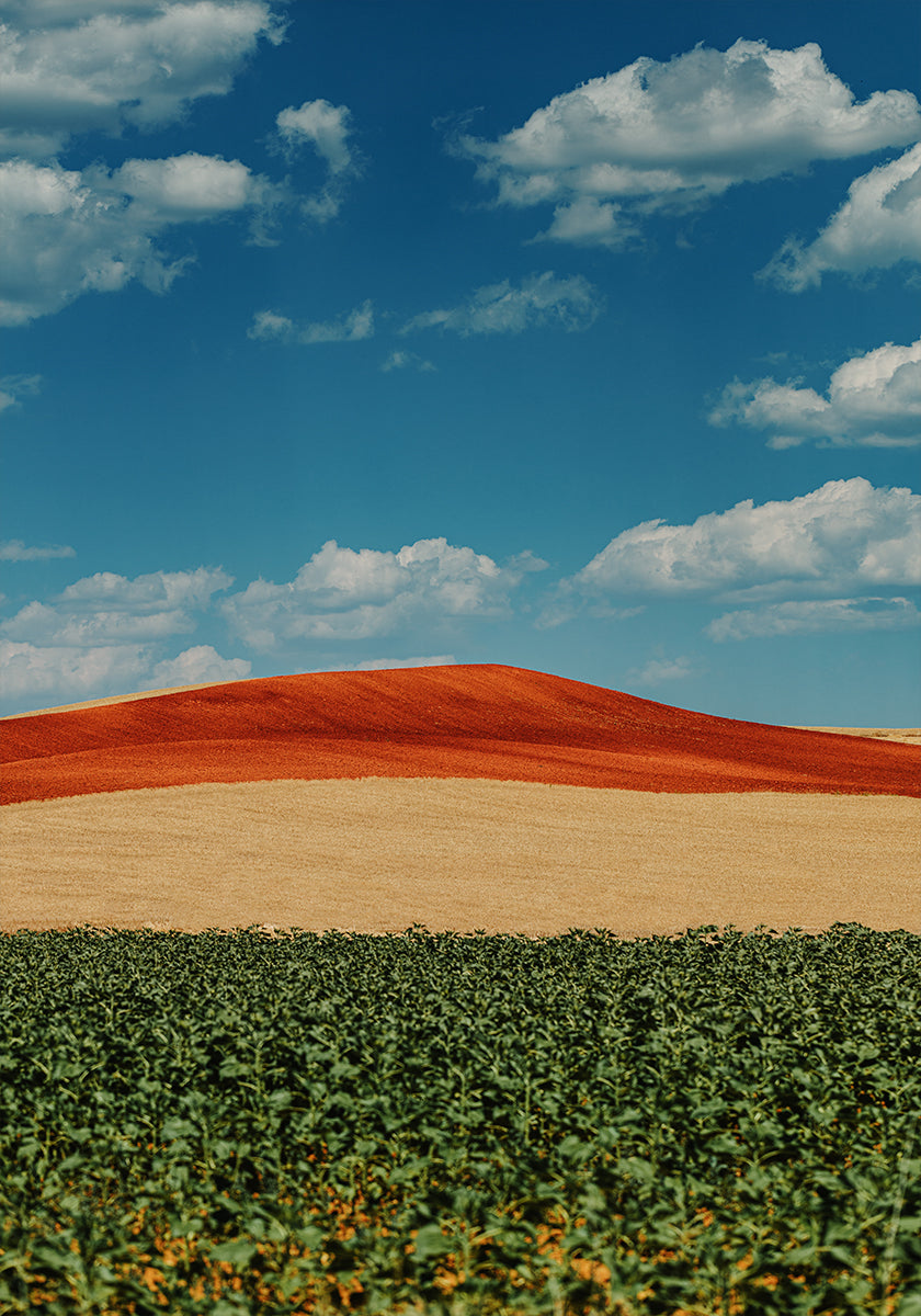 Colorful Hillside Poster