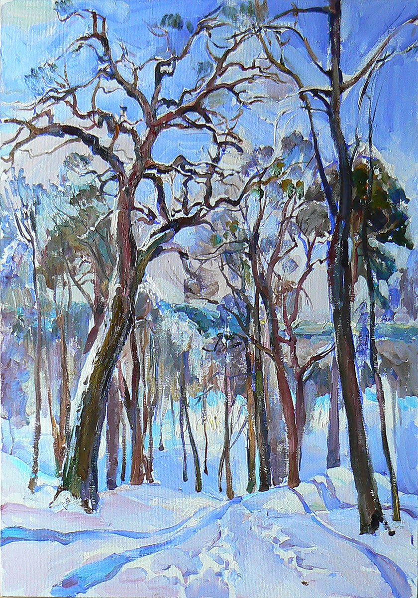 Winter forest Poster