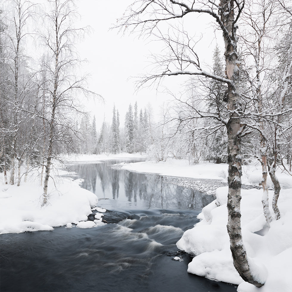 Winter's Vibe Poster