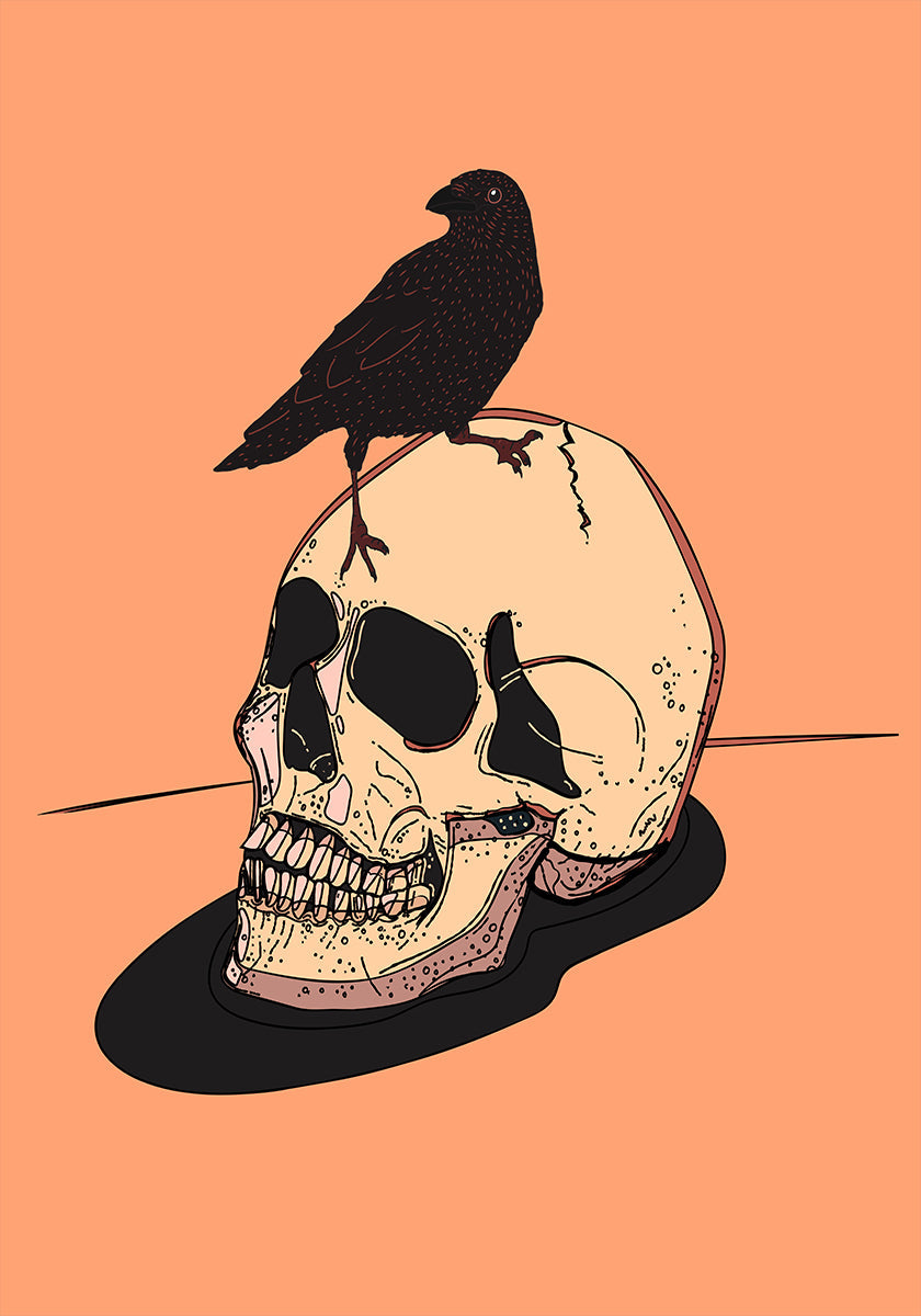 Skull And Raven Poster
