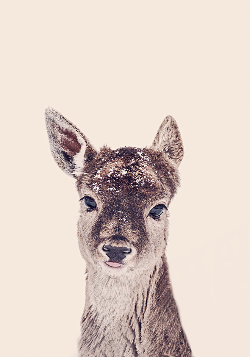 Fawn Rosé Beige Poster