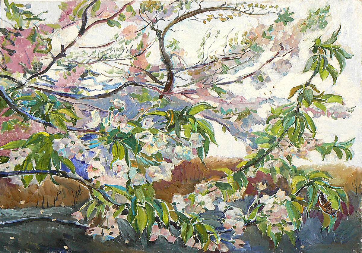 Cherry Blossoms In Spring Poster