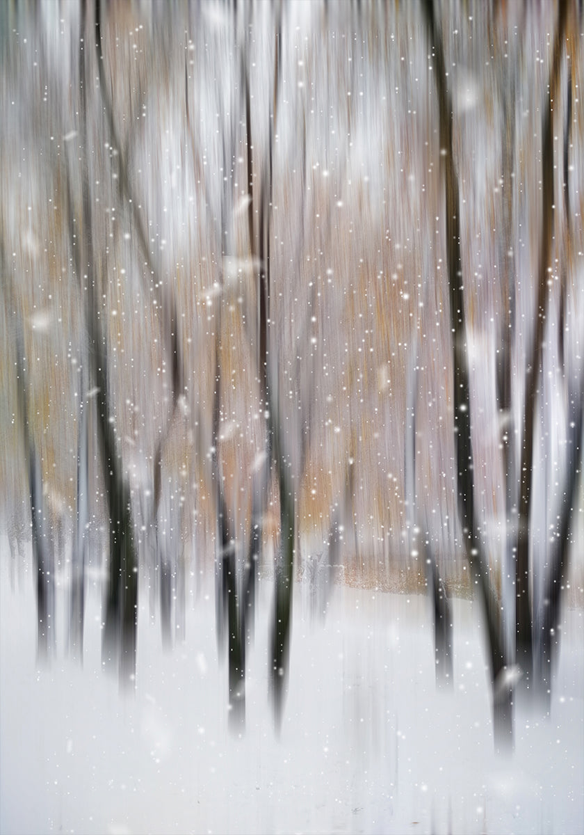 Winter Poster