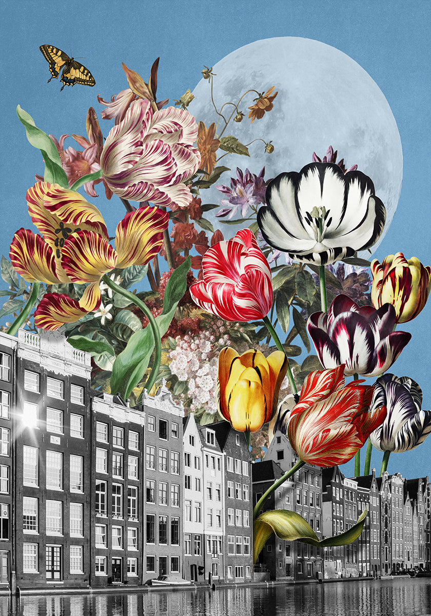 Vibrant Tulips And Intricate Butterflies Poster