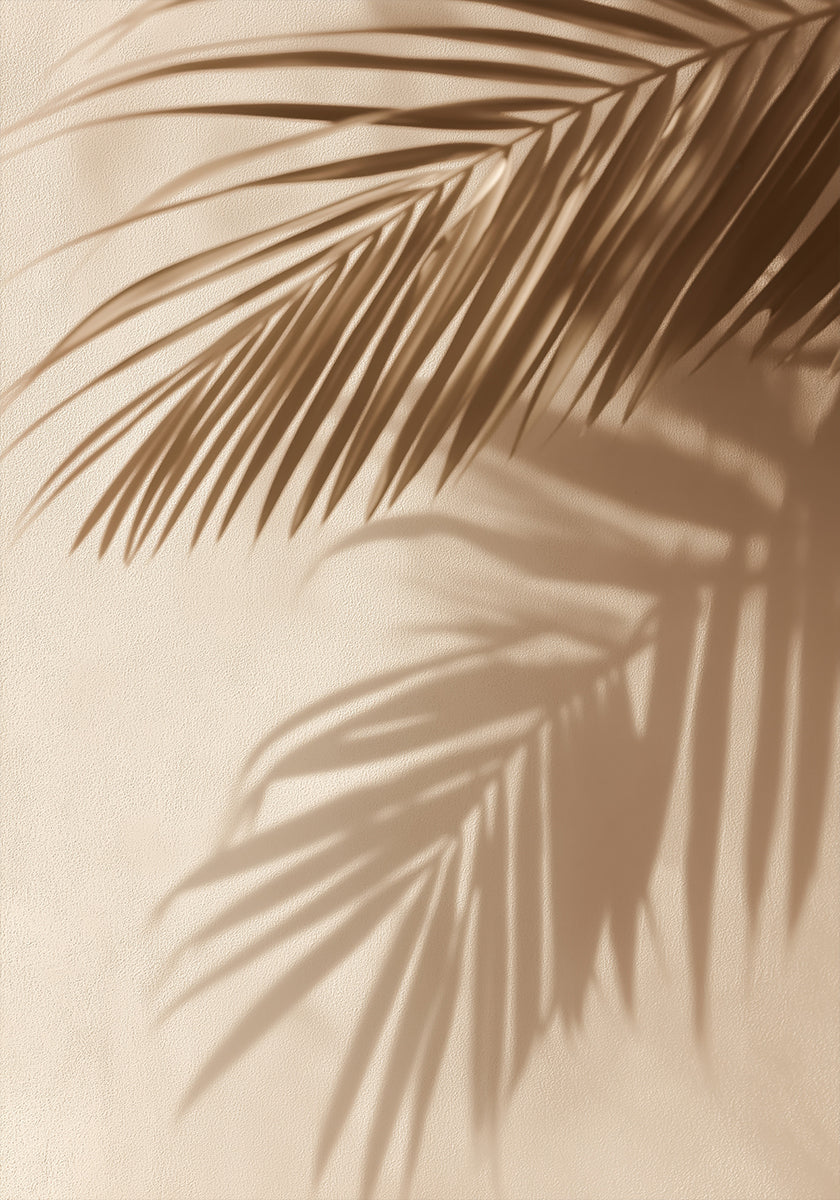 Palm Leaf Shadows Poster