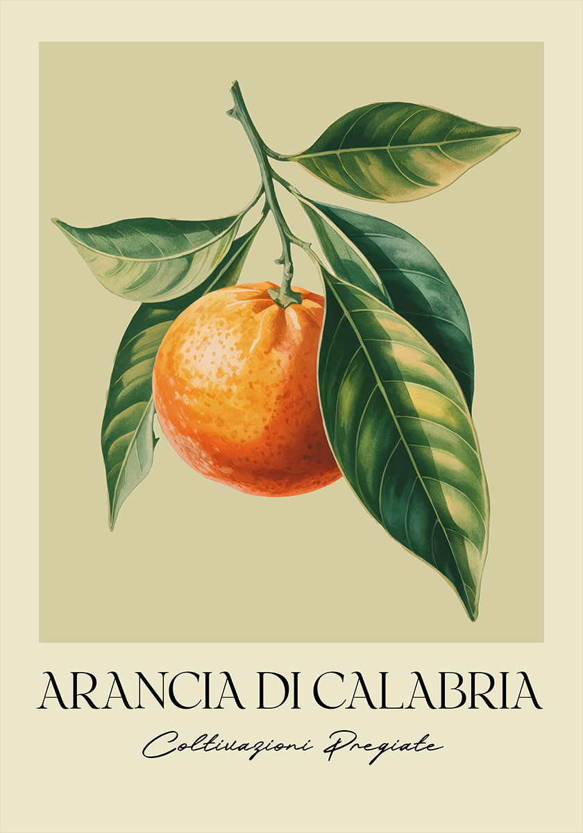 Arancia Di Calabria Poster