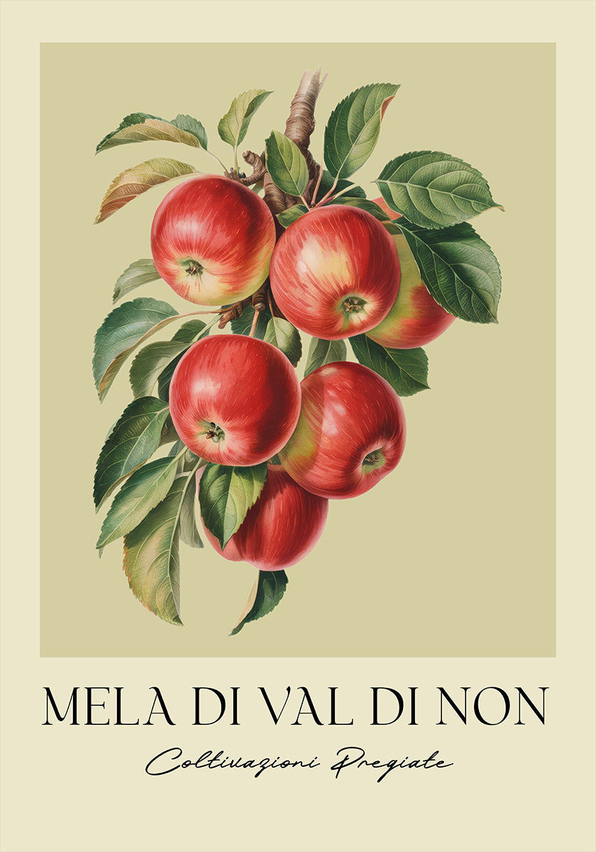 Mela Di Val Di Non Poster