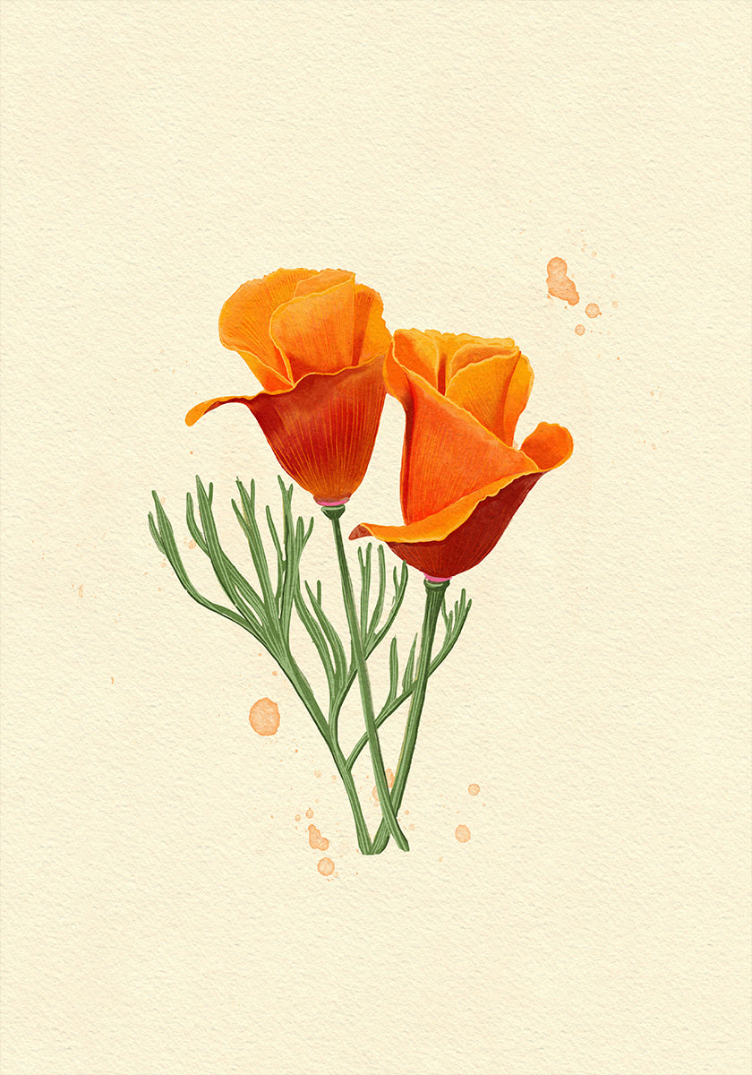 California Poppy Poster