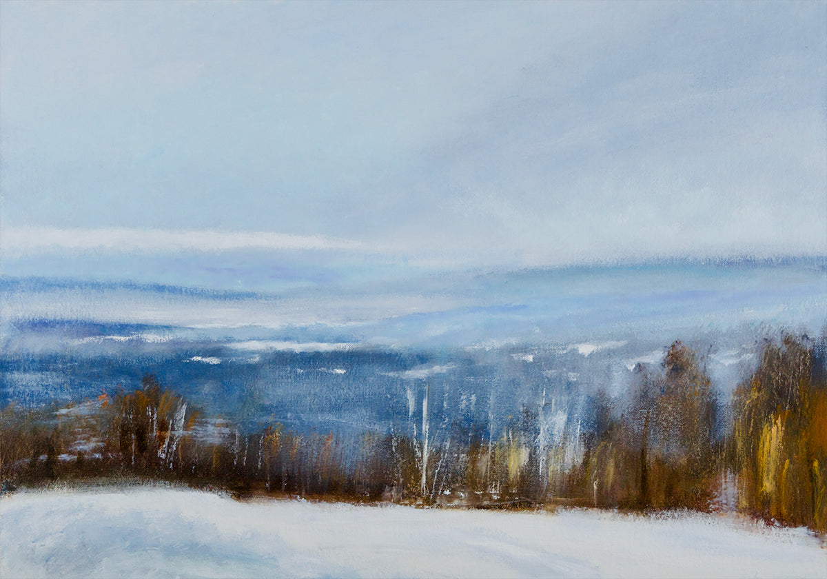 Winter View Poster