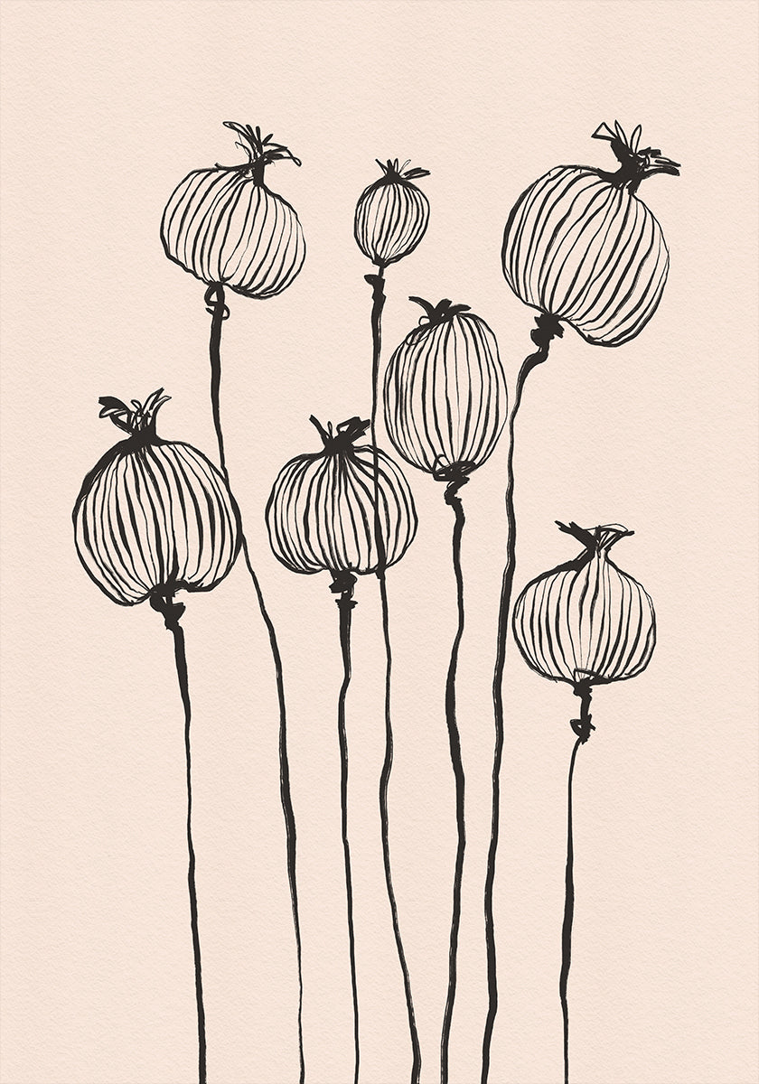 Poppy Pods Poster