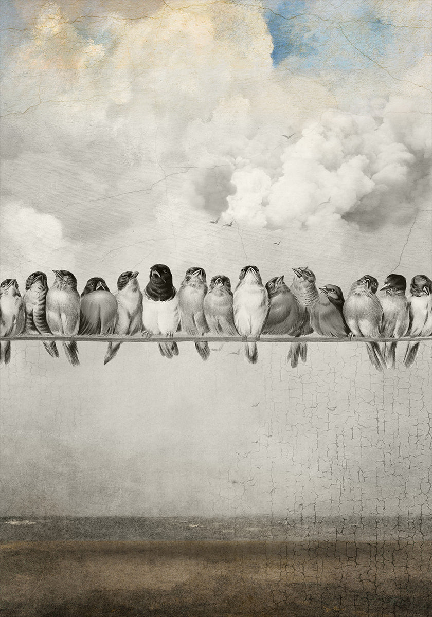 All the Pretty Birds Poster