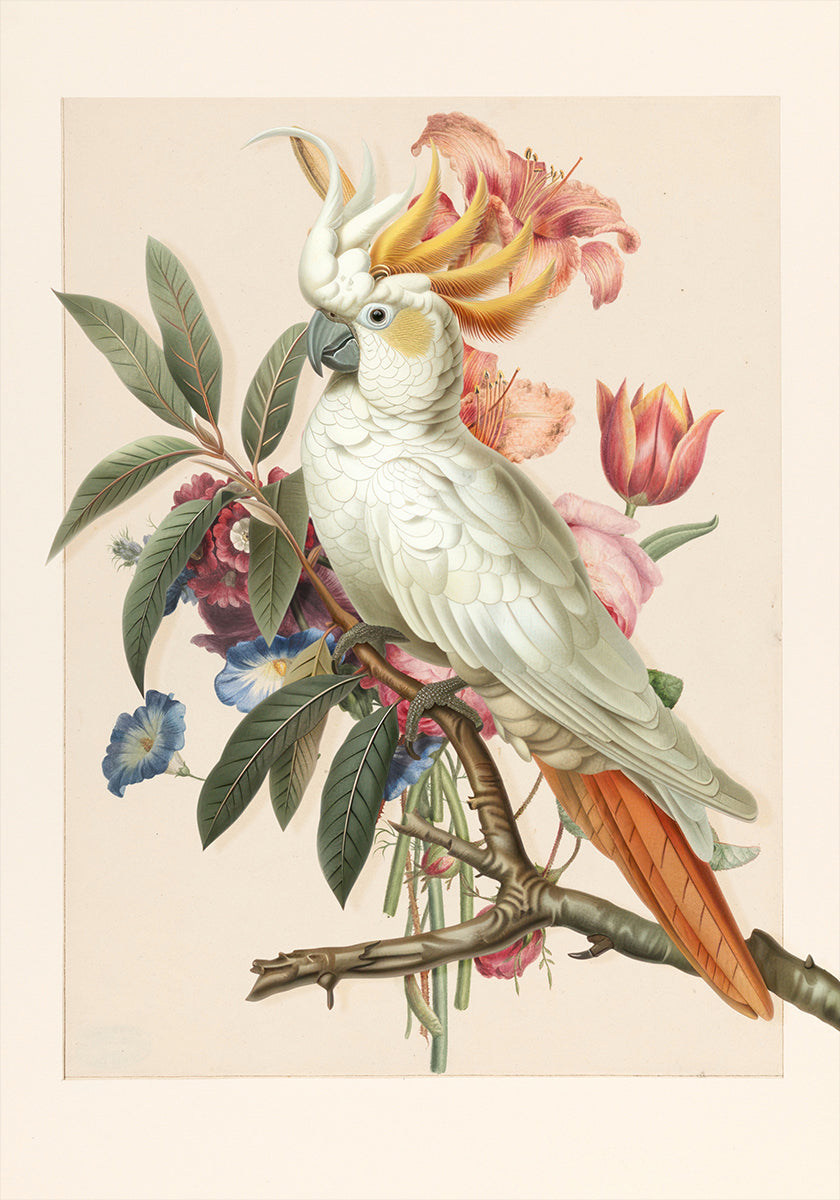 Henriëtta’s Bird Poster