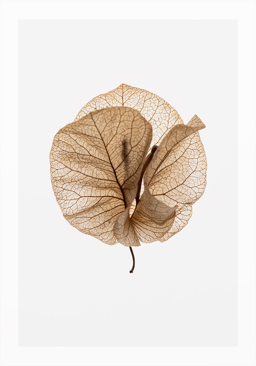 Fragile Glow Poster