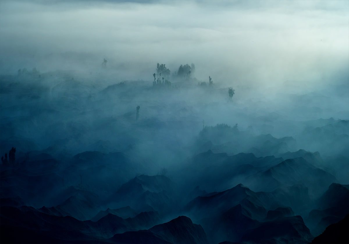 Land of Fog