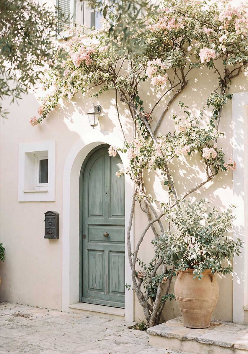 Mediterranean Door Poster