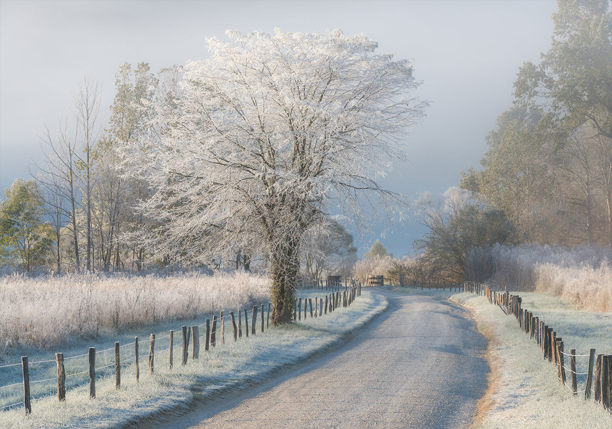 A Frosty Morning Poster