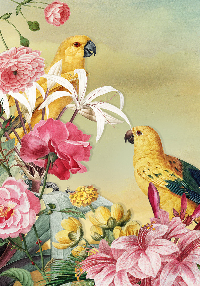 Birds From Paradise Poster