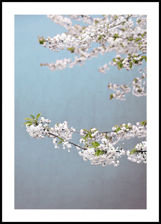 Colorful Spring 14 Poster