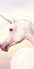 Unicorn Portrait Plakat - Posterbox.no