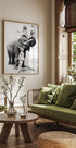 Women Riding Elephant Plakat - Posterbox.no