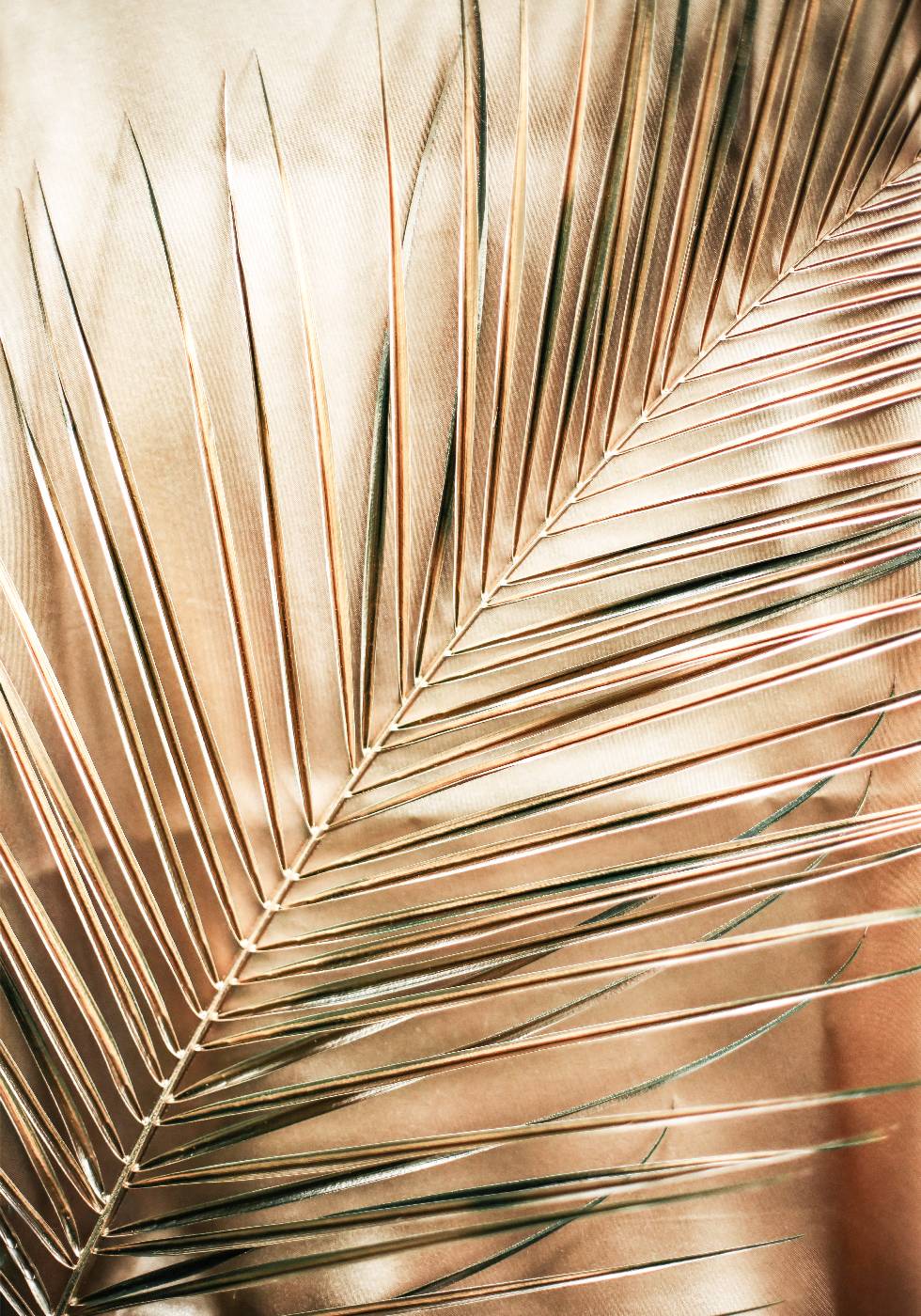 Golden Palm Leaves Plakat - Posterbox.no