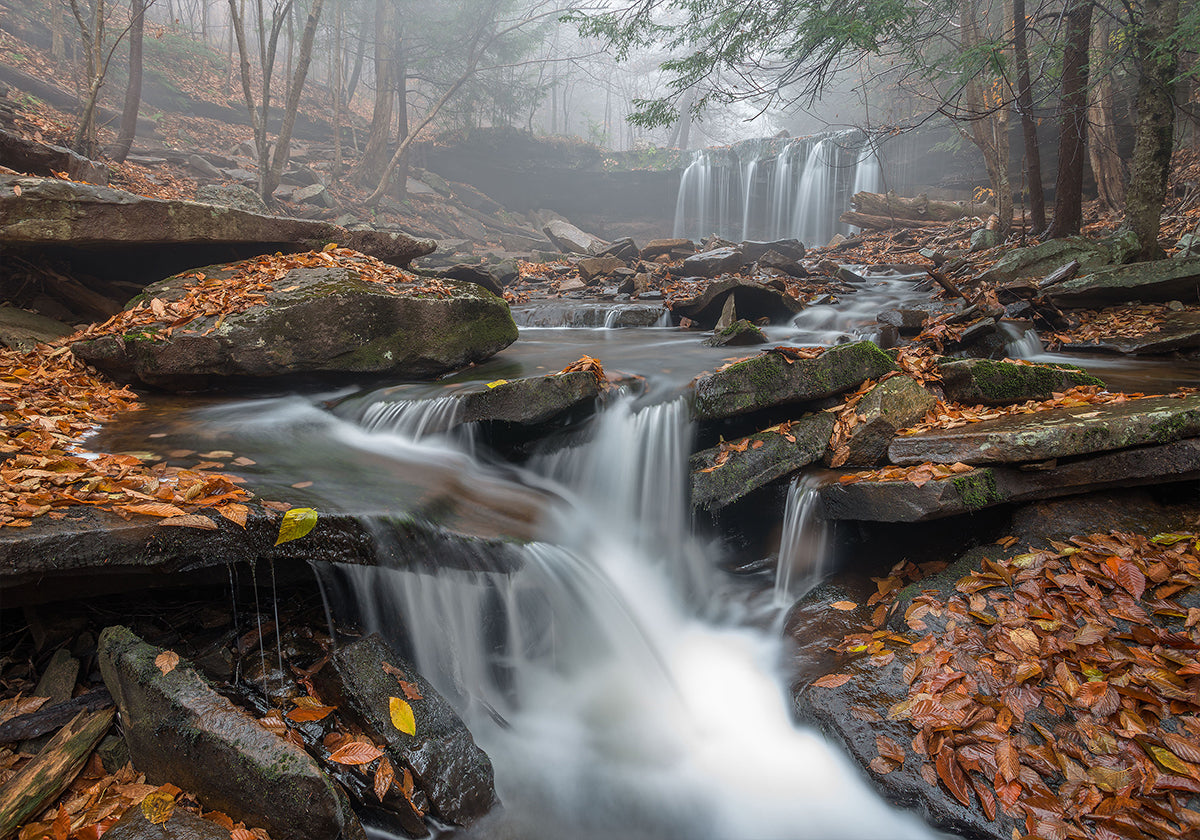 Morning Fog