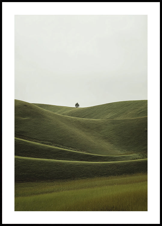 Foggy Green Hill Poster