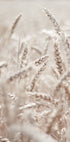 Wheat Accumulation Plakat - Posterbox.no