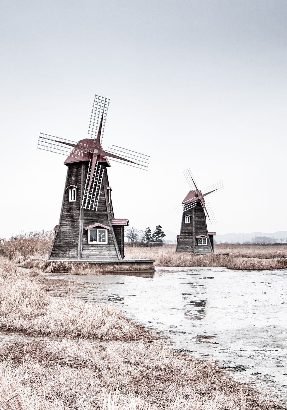 Old Wind Mills Plakat - Posterbox.no