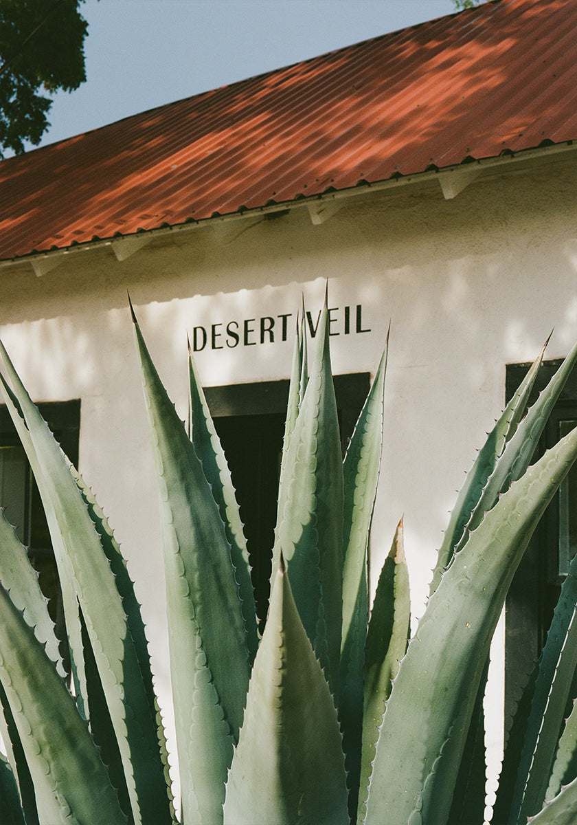 Desert Veil Poster